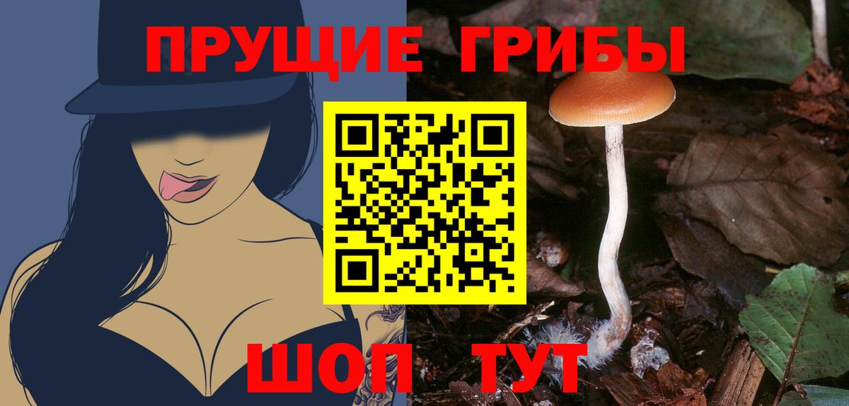 Галлюциногенные грибы ЛСД Павлово