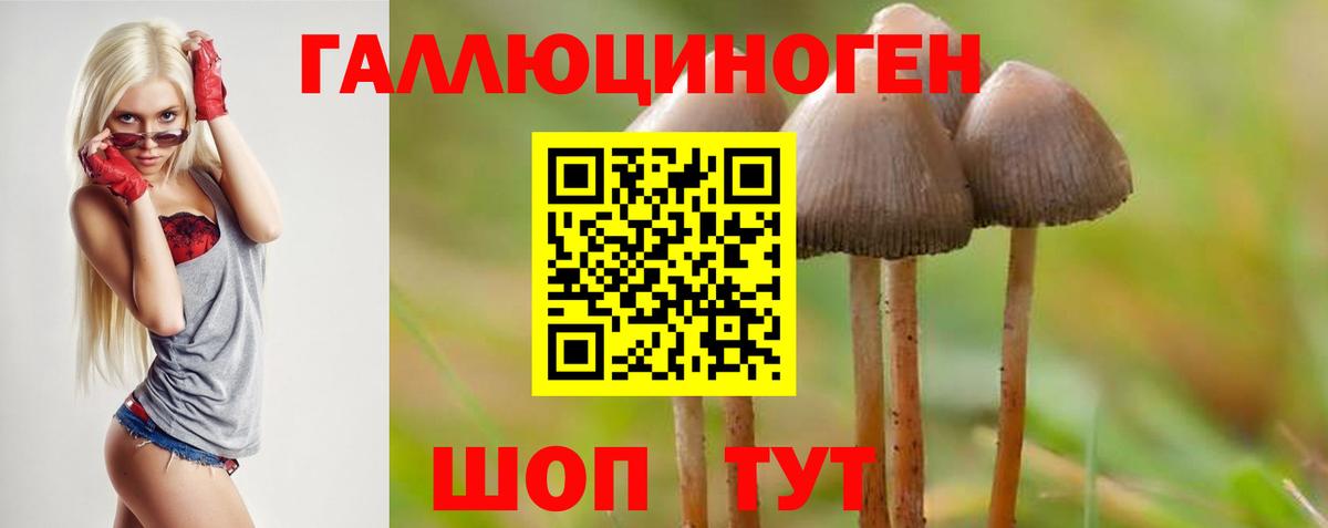 Псилоцибиновые грибы MAGIC MUSHROOMS  Вход с VPN  Павлово 